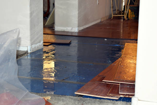 Professional Burst Pipe Cleanup technician working in Lindenhurst, IL